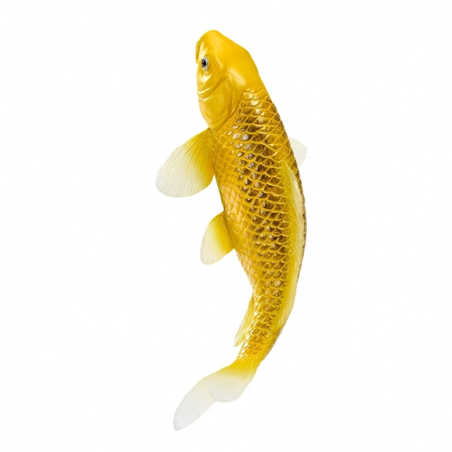 Mojo karp koi Matsuba