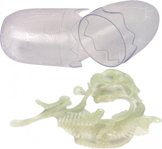 Szczegółowa anatomia