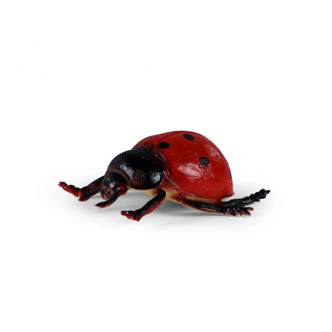 Owady/insekty 4 szt. w woreczku
