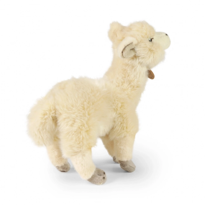 Rappa Lama Alpaka stojąca pluszowa 23 cm EKOLOGICZNA