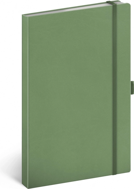 Notatnik Notique zielony w linie 13 × 21 cm