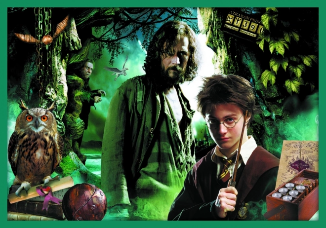 Puzzle Harry Potter - W świecie Harry'ego Pottera 10w1