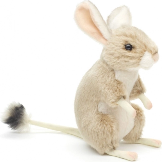 Realistyczne detale scynka