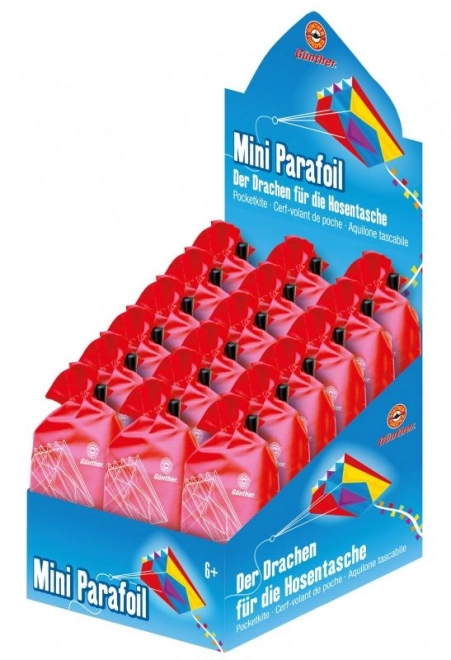 Latający Smok 3D Mini Parafoil 60 x 51 cm