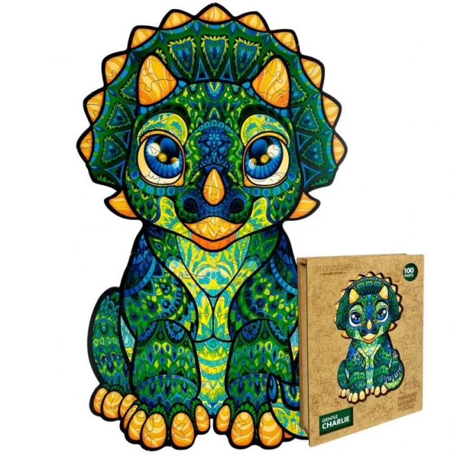 Magiczne drewniane kolorowe puzzle - Drogi Charlie