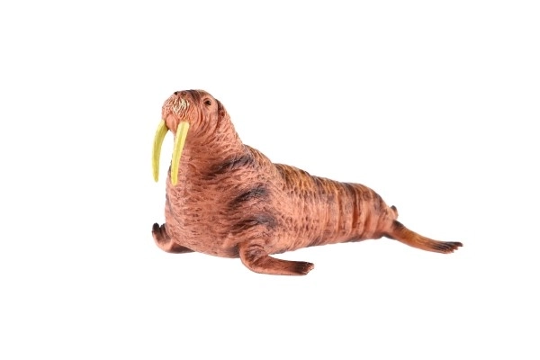 Mors arktyczny w plastikowej zooted 14 cm w woreczku
