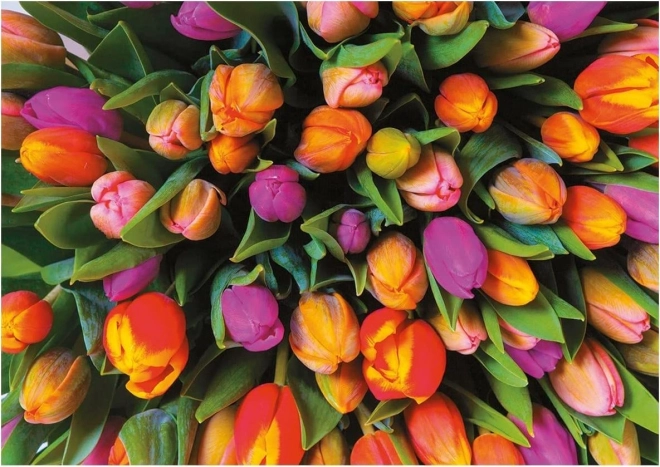 Piatnik puzzle Tulipany 1000 elementów