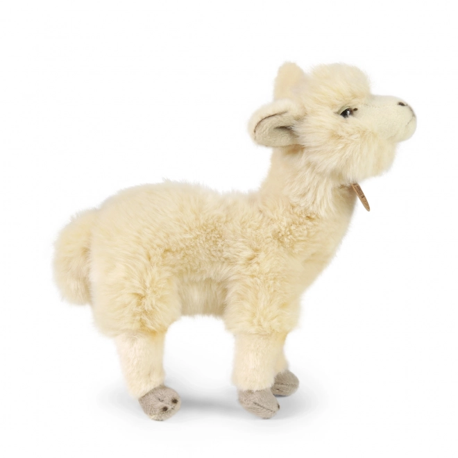 Rappa Lama Alpaka stojąca pluszowa 23 cm EKOLOGICZNA