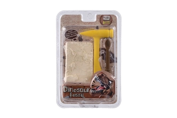 Mały archeolog dinozaur skamielina plastik 2 kolory w blistrze 12,5x19x5cm 12 szt. w pudełku