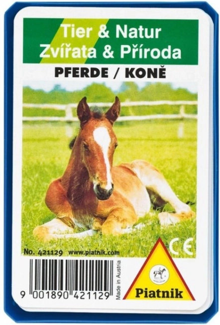 Kwartet - Konie w plastikowym pudełku