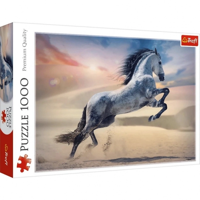 Puzzle 1000 elementów Majestat Konia