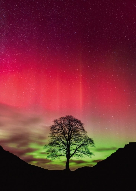 Puzzle Heye Siła Natury: Sycamore Gap, 1000 części