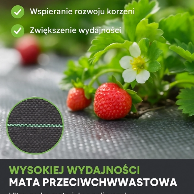 Czarna agrotkanina 1,1x100m UV 135g przeciw chwastom + kotwy