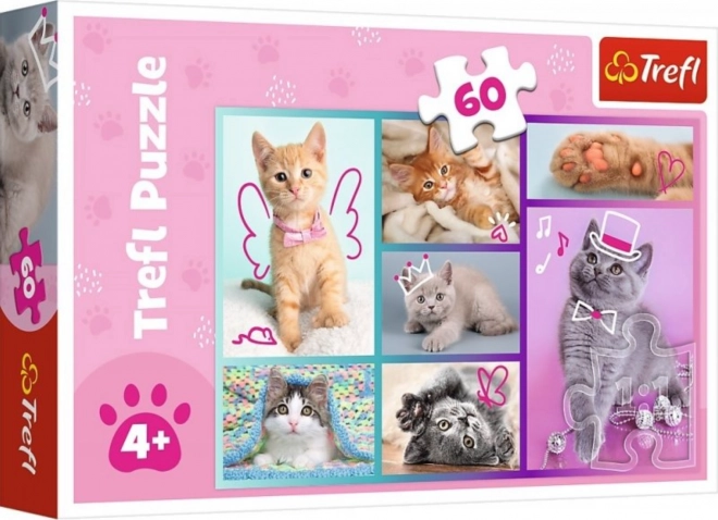 Puzzle 60 elementów Słodkie kotki