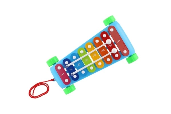 Ksylophon plastikowy/metalowy 24 cm z pałeczkami 2 kolory w woreczku 19x31x6 cm
