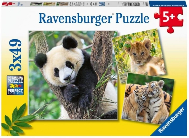 Panda, tygrys i lew 3x49 elementów