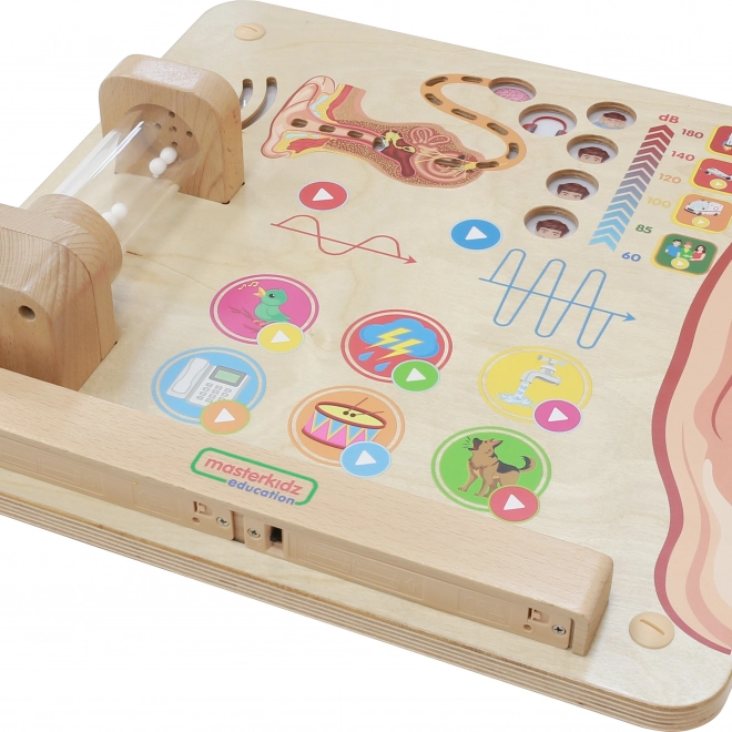 Masterkidz Edukacyjna Tablica Zmysły Wzrokowe Montessori