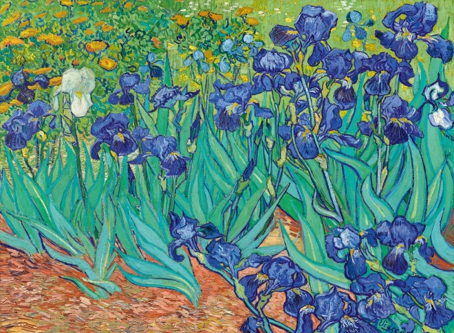 Puzzle Irysy (1889) 3000 elementów BLUEBIRD
