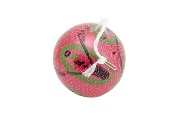 Piłka kolorowa nadmuchiwana plastikowa 15 cm w siatce