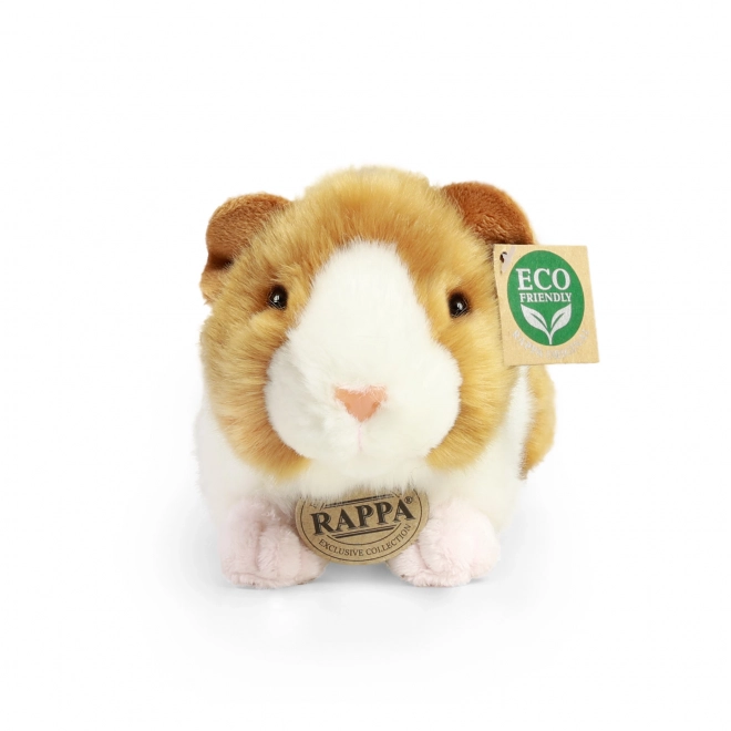 Puszysta świnka morska Rappa Eco-friendly