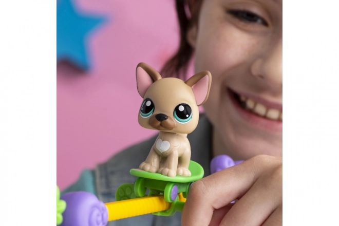 Zestaw do gry Littlest Pet Shop Zwierzęta mają talent