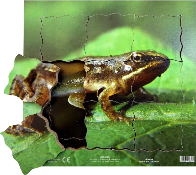 Just Jigsaws Żaba i jej cykl życiowy - drewniane warstwowe puzzle