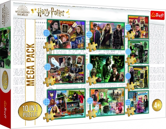 Puzzle Harry Potter - W świecie Harry'ego Pottera 10w1