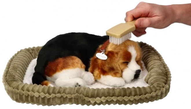 Oddychające szczeniaczko Beagle Perfect Petzzz