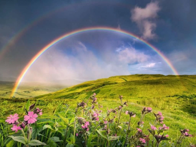 Puzzle 1500 elementów Tęcza nad łąką