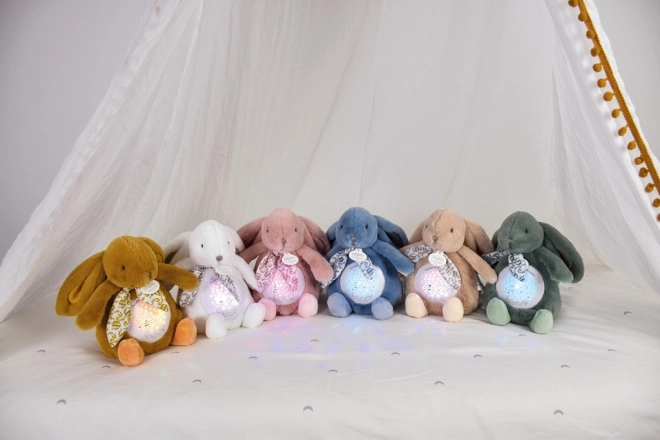 Pozytywka Króliczek z projekcją Doudou