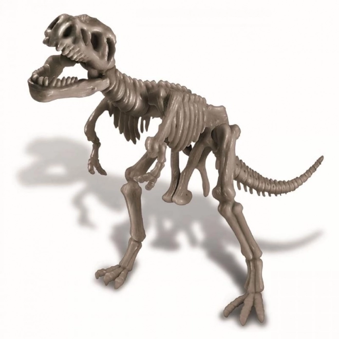 Szkielet dinozaura - REX
