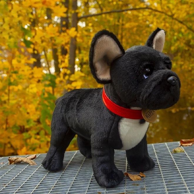 Pluszowy francuski buldog czarny z obrożą stojący 30 cm ECO-FRIENDLY