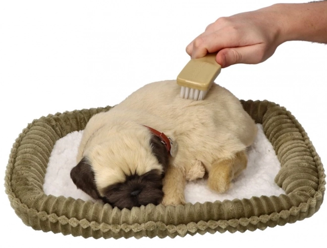 Oddychający szczeniaczek mops Perfect Petzzz