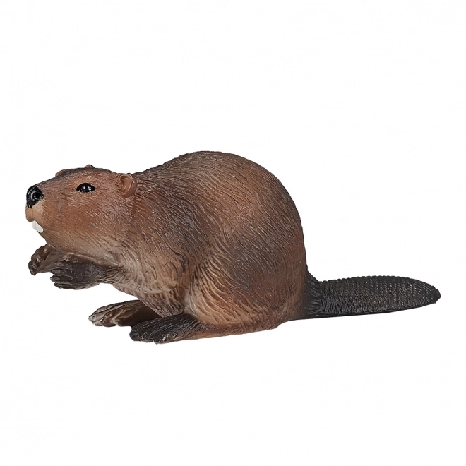 Mojo Bóbr