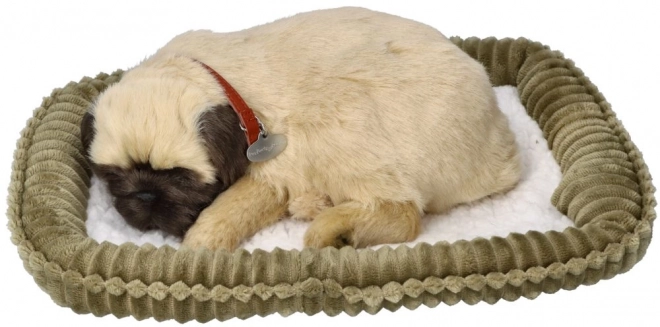 Oddychający szczeniaczek mops Perfect Petzzz