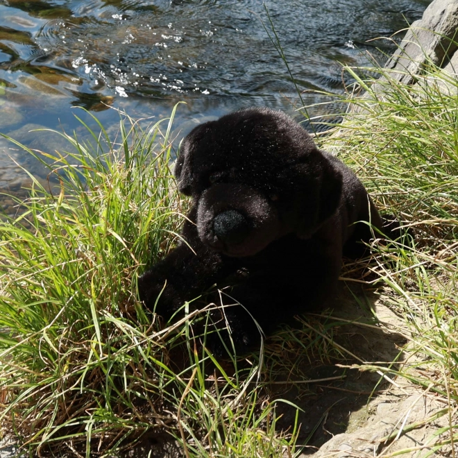 Pluszowy labrador czarny 40 cm EKOLOGICZNY