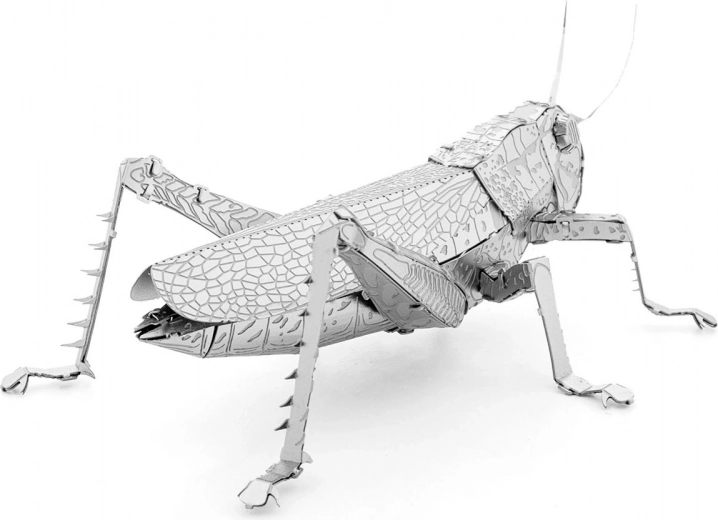 Metalowy kolekcjonerski eksponat do wystawienia