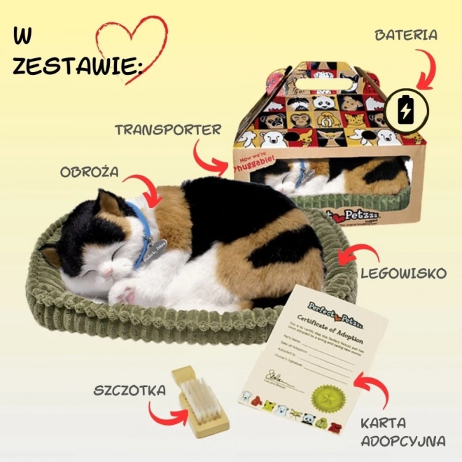 Adoptuj mnie trzykolorowy kotek oddychający
