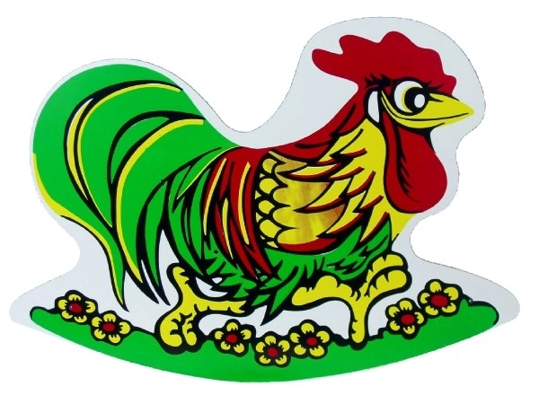 Kogut na biegunach