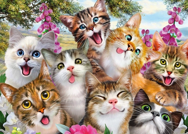Puzzle Kocie selfie 500 elementów SCHMIDT