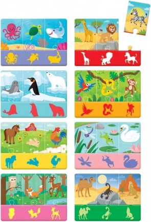 Kolorowe ilustracje zwierząt i ich środowisk