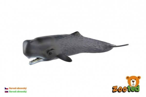Realistyczny model Kaszalota spermacetowego 24 cm