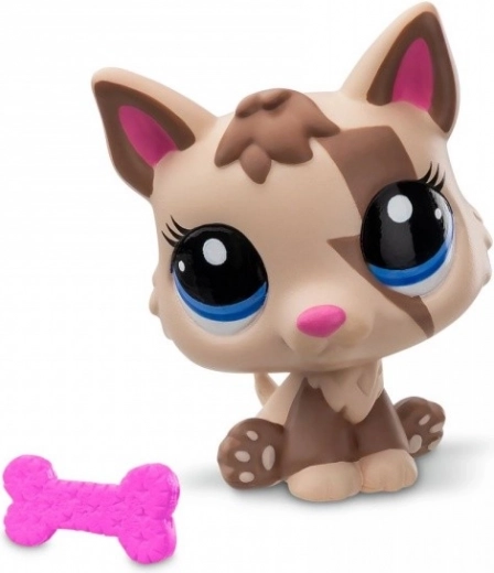 Dodatek i karta kolekcjonerska w zestawie