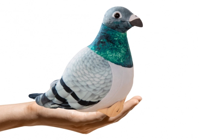 Pluszowy gołąb sierpówka szary 20 cm