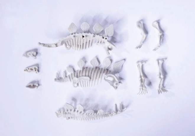 Zestaw do wykopywania i składania szkieletów dinozaurów