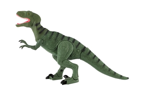 Dinozaur chodzący IC velociraptor plastik 50cm na baterie z dźwiękiem i światłem w pudełku 53x32,5x12cm