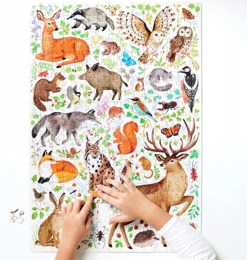 Plakat z ciekawostkami o przyrodzie