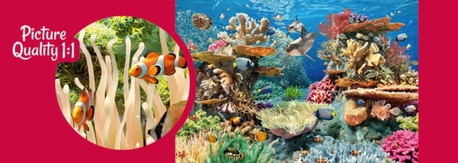 Puzzle Rafy Koralowe 500 elementów