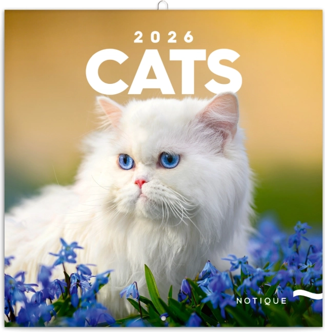 Kalendarz notatkowy Koty 2026