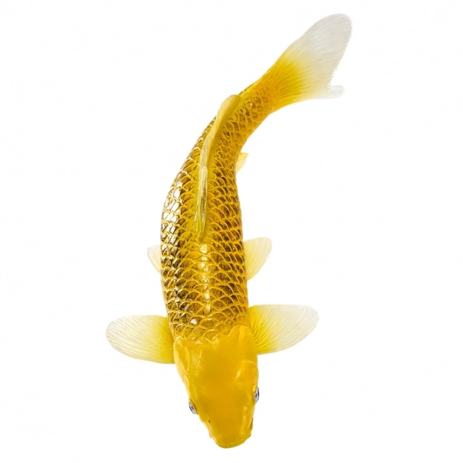 Mojo karp koi Matsuba